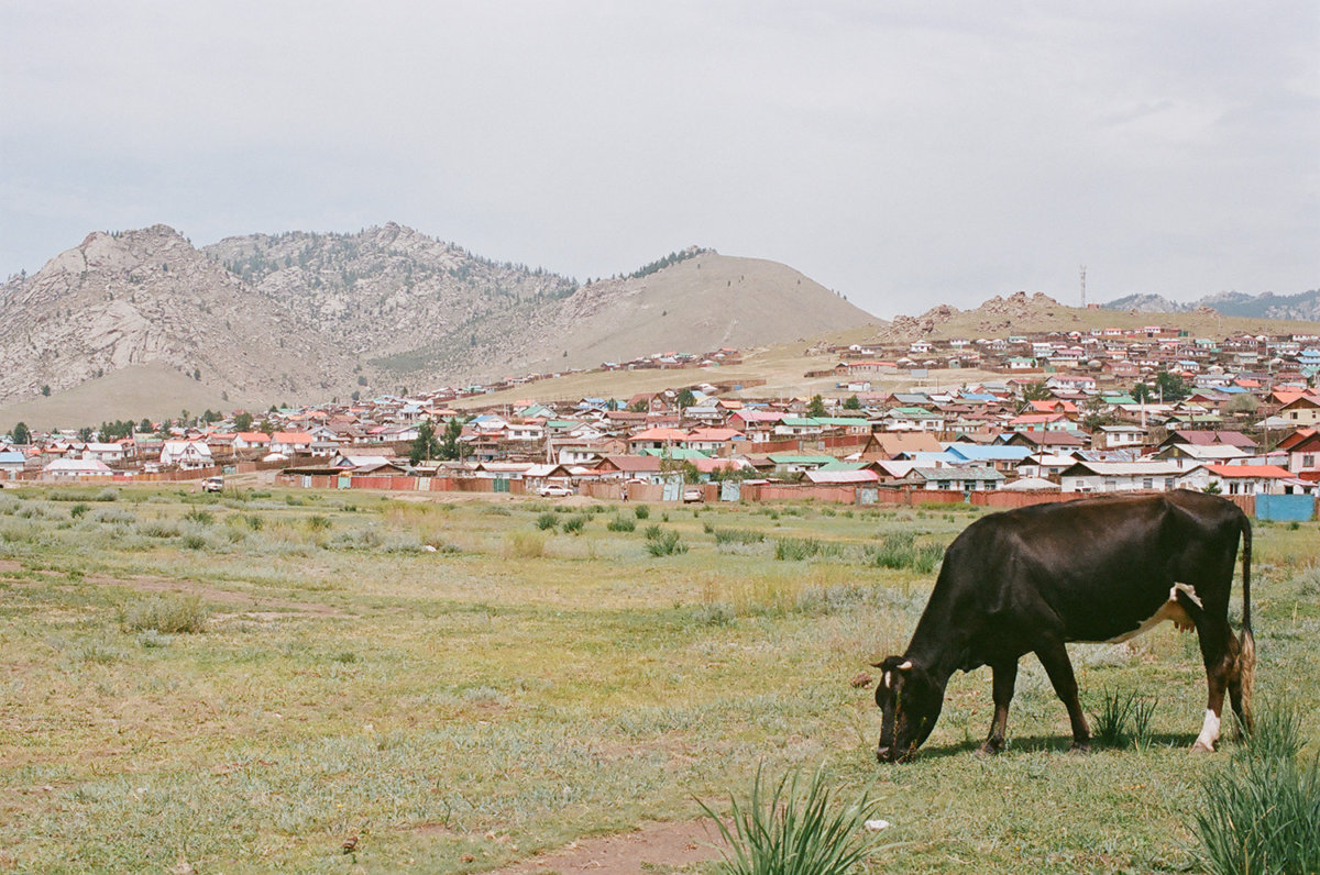 Mongolia - Hello, I am Barnie.