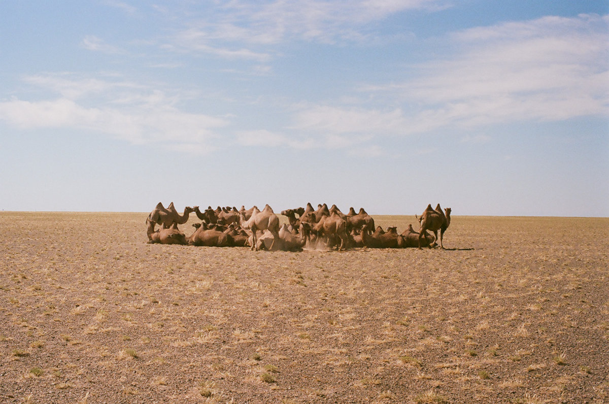 Mongolia - Hello, I am Barnie.