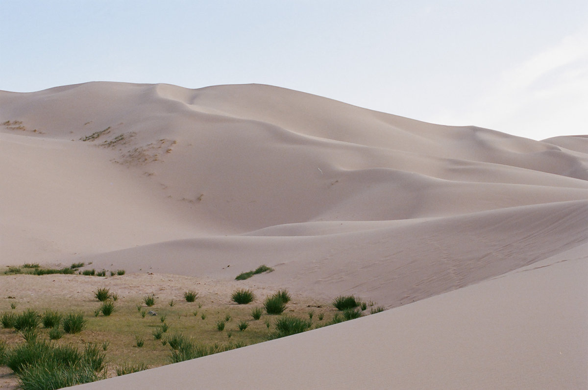 Mongolia - Hello, I am Barnie.