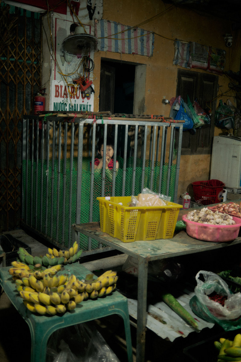 Việt Nam - Hello, I am Barnie.