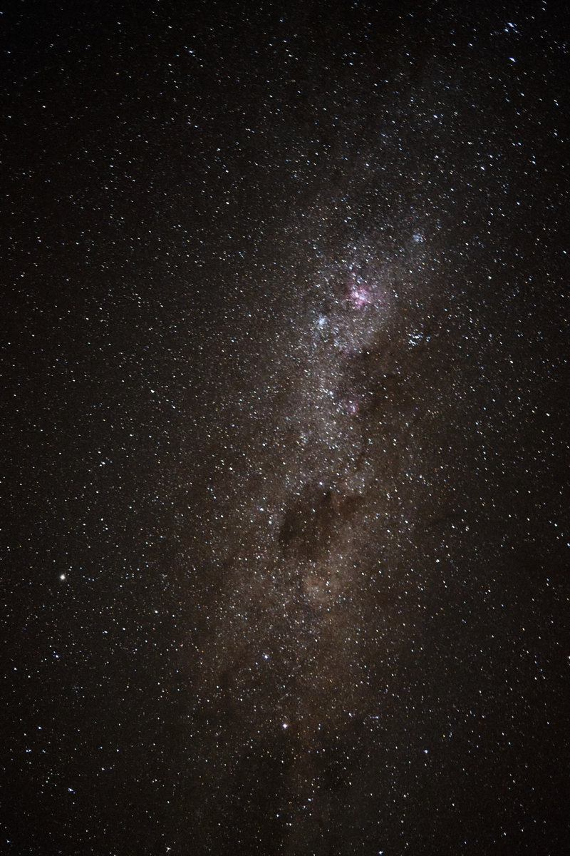 Aotearoa - Hello, I am Barnie.