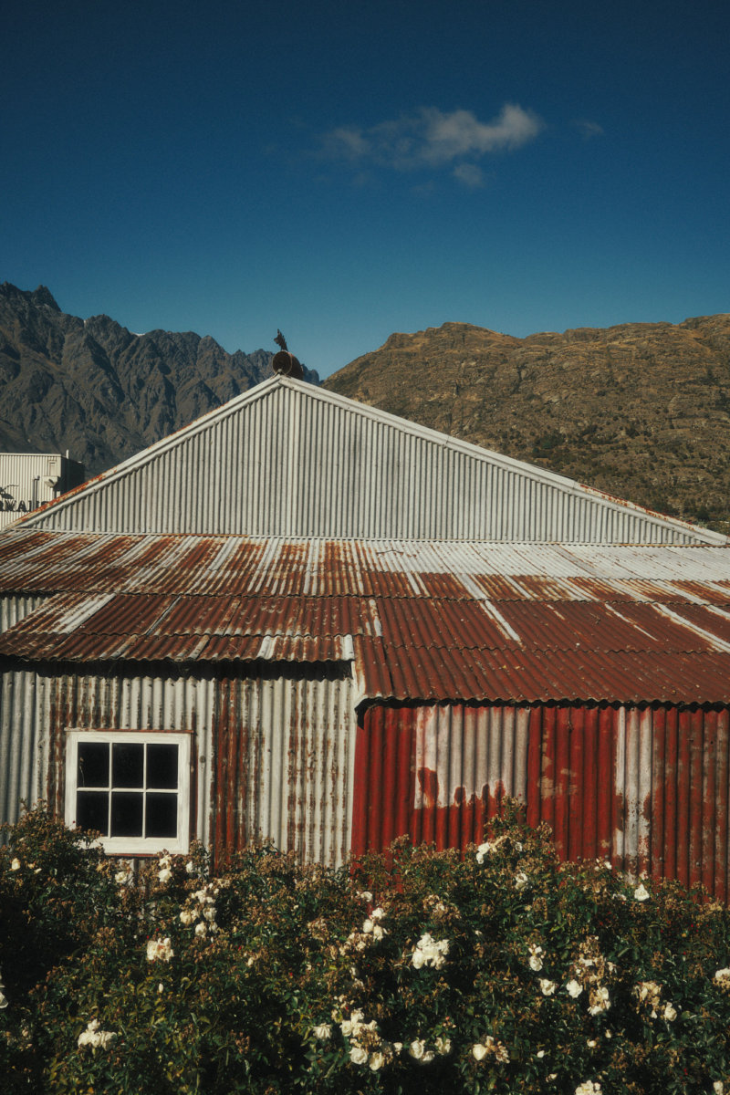 Aotearoa - Hello, I am Barnie.